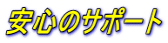 S̃T|[g